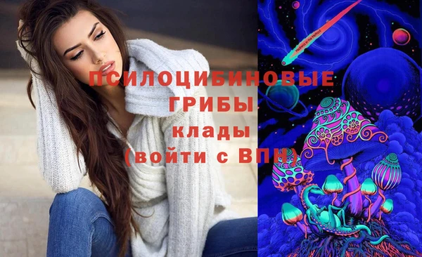 спиды Алзамай