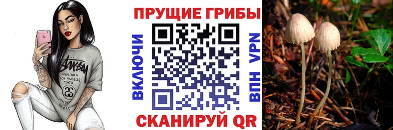 где купить наркотик  Тейково  Псилоцибиновые грибы ЛСД 